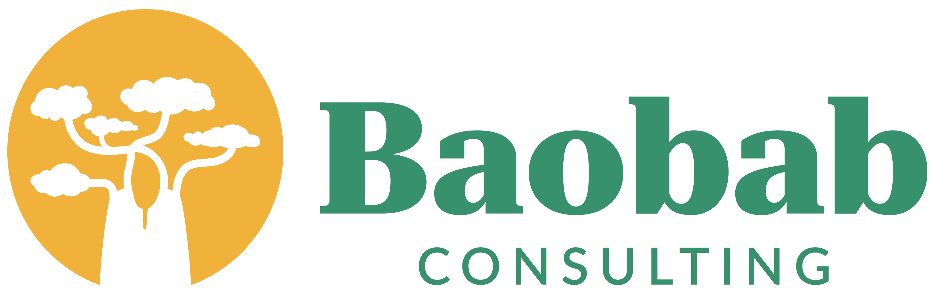 Baobab Consulting